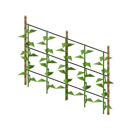 Crop bean trellis, 3D model preview