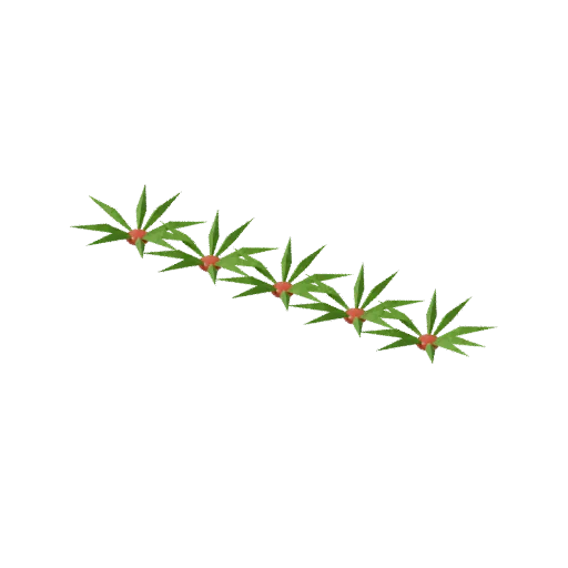 Crop root row, 3D model preview