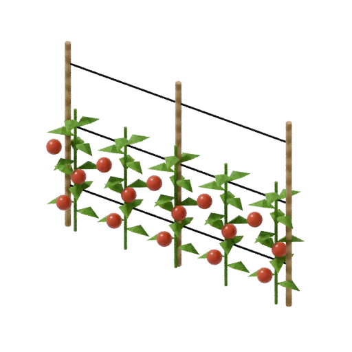 Crop tomato row, 3D model preview